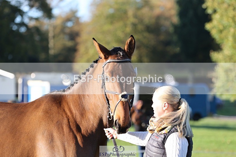 241027-085037-14844 - 359- Harriet Birkby- CBH CLOVER LINING