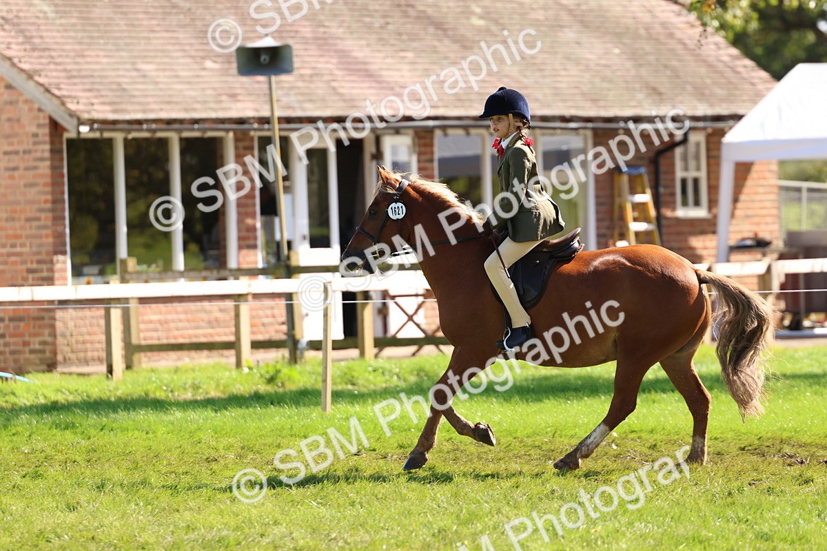SBM_45274 - S27 - Young Veteran Ridden