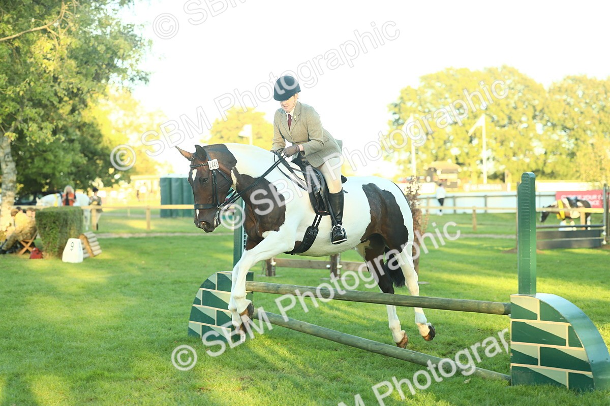 SBM_56499 - S14 - Riding Club Horse