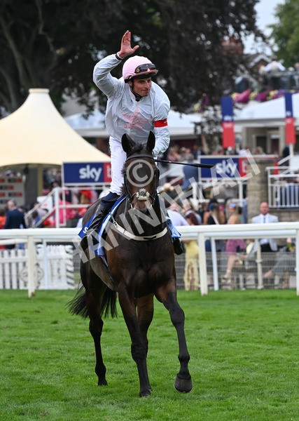 230825-140 Ethical Diamond - Race 4 3.35pm Sky Bet Ebor Handicap