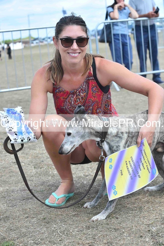 SH4_0190 - Dog show.