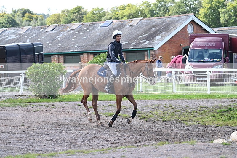 WJ7_0249 - Time 11:02 to 11:34