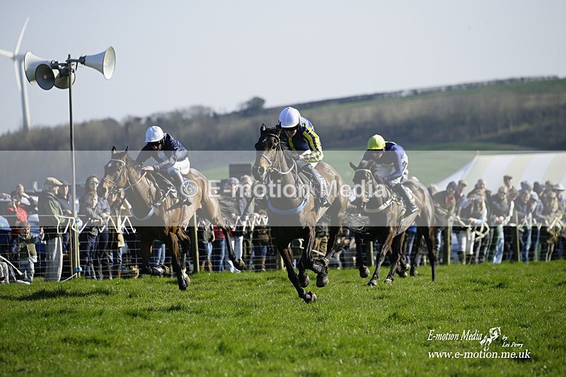 PtP 190322 728 - Wilton Hunt PtP Milborne St Andrew 19/03/22