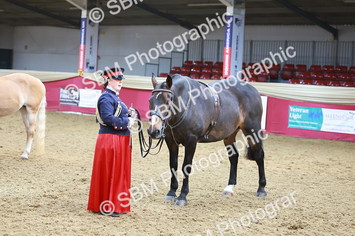 SBM_13647 - Class 104 - IH  Costume