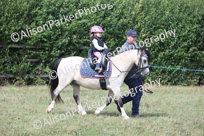 20250831-3285 - Class 24 - Absolute Beginners Pony