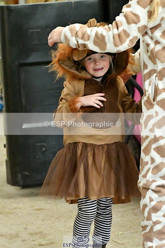 230804A-100057-01543 - Stable Shots