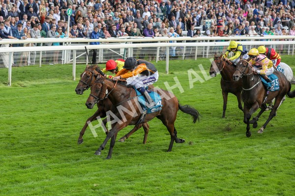 230923-Race 4-Aphelios-5326 - Race 4 3.45pm Jigsaw Sports Branding Handicap