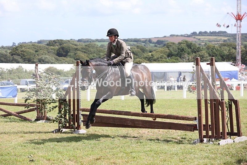 JPP_2184 - Class 19: Working Hunter 60cm