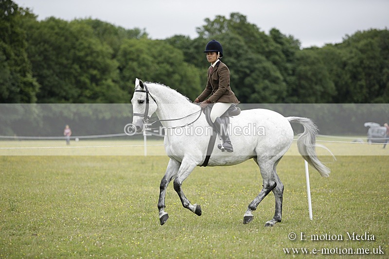 BVR160717-808 - Ring 1 BVRC Show 16/07/17