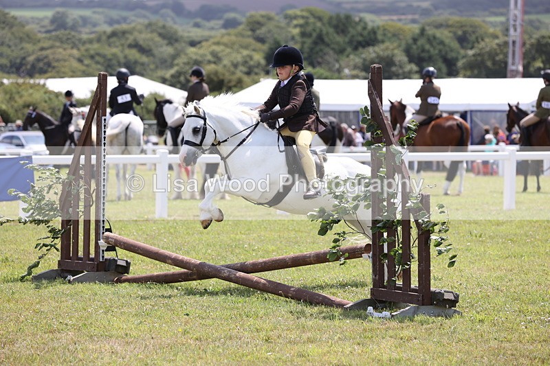 JPP_1832 - Class 18: Tiny Tots Working Hunter Pony