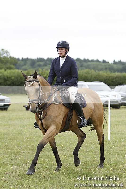 BVR160717-921 - Ring 3 BVRC Show 16/07/17