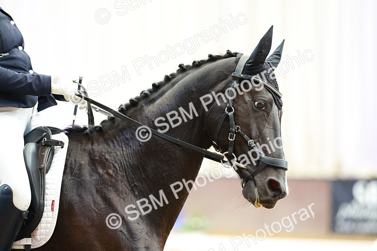 SBM_004008 - Class 1 - M5