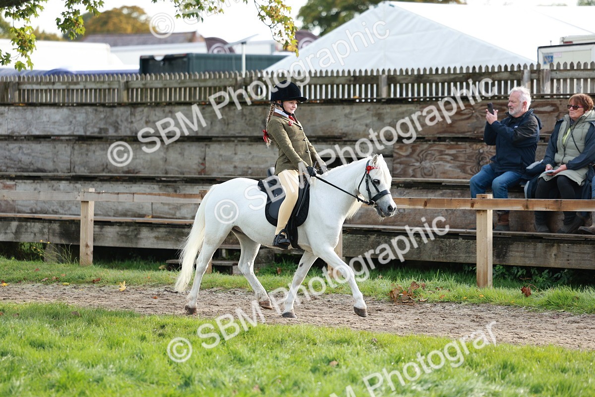 SBM_56305 - S39 - Starters In Hand Showing
