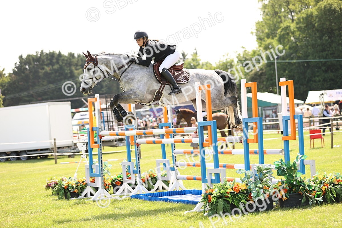 SBM_03178 - Class 201 - British Horse Feedds Speedi Beet HOYS Grade C
