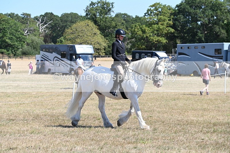 WJ6_8252 - Class 37a Best Loan Pony Ridden