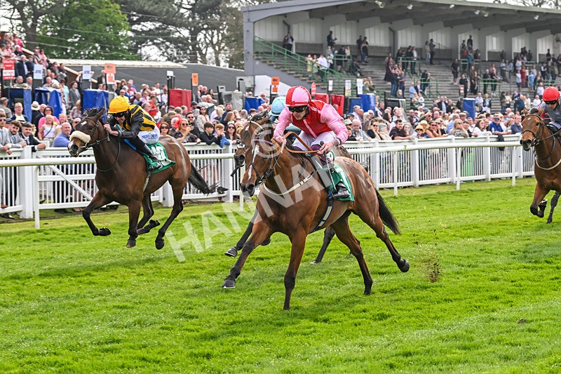 120425-Race 1-Polly Darling-0788 - Race 1