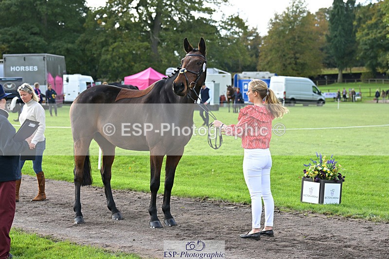 241023-132521-00276 - 018-Alice.Robinson-DERRYS.DIAMOND.CAVALIER