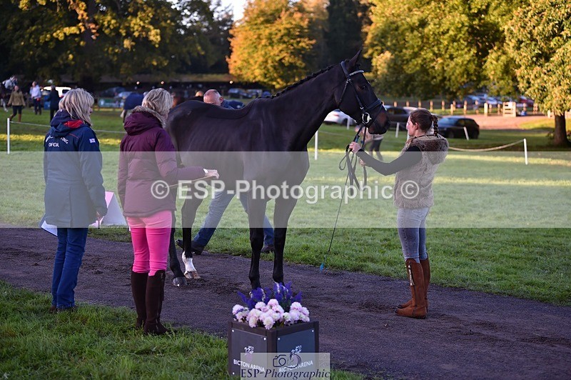 231022-083648-21256 - 657-WATERVALLEY.DIAMOND-Holly.Horton-TrotUp+SJ