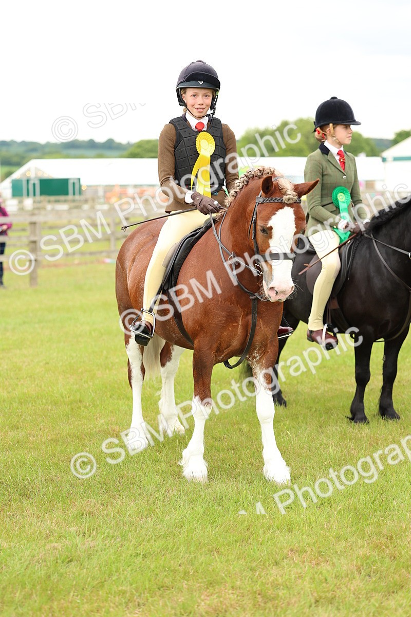 SBM_10411 - Class 44-45 - LIHS BSPS Open Nursery and Cradle Stakes