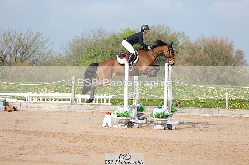 250424-101755-02940 - Cls 33 Young Horse 7yr old