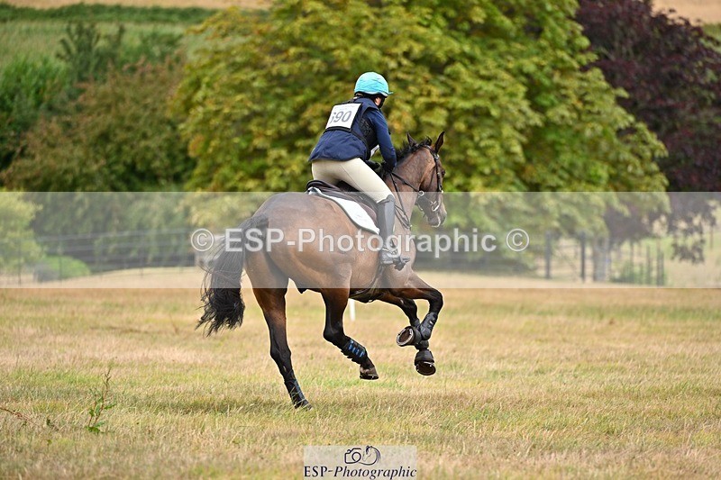 250803A-150807-15919 - O-690-Selina.Milnes-MUSTAFA.MOLASSES