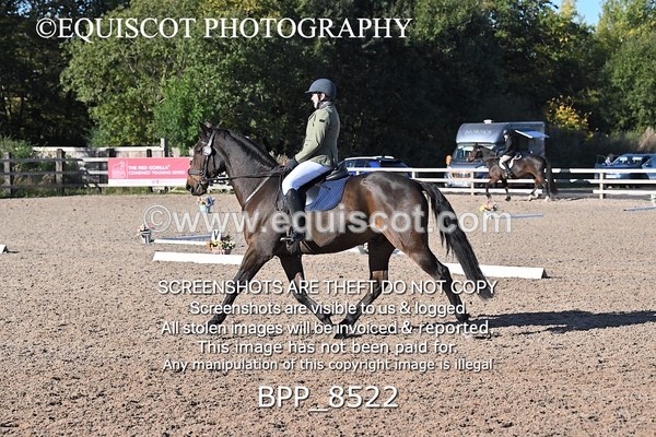 BPP_8522 - LONG ARENA