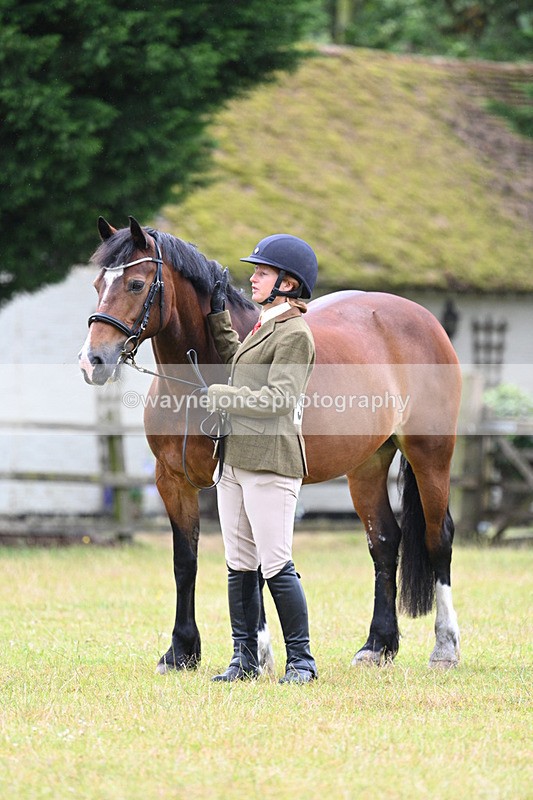 WJ7_6327 - Class 4a Prettiest Mare over 14hh