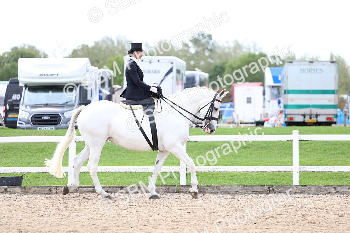 SBM_03169 - Class 22 - SSA Equitation (any age)