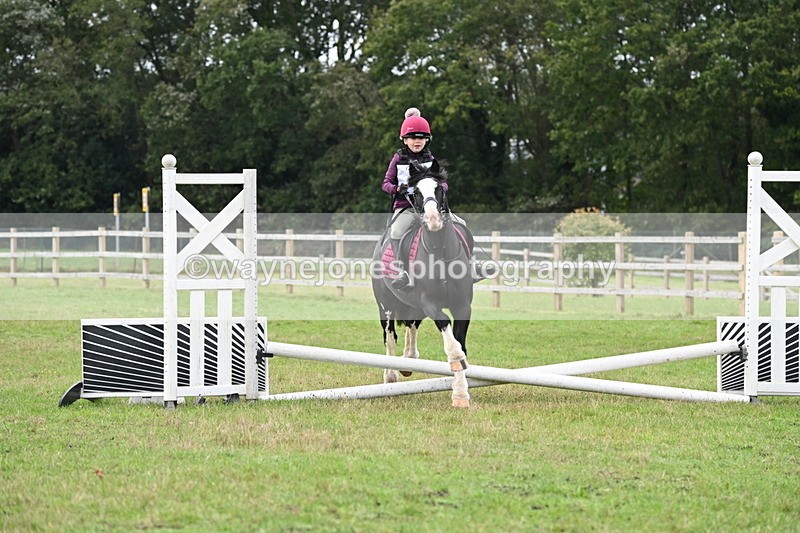 WJ6_0165 - 40cm Time 10:00 to 10:28