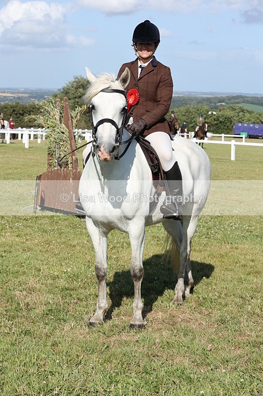 JPP_3042 - Class 20: Working Hunter 70cm