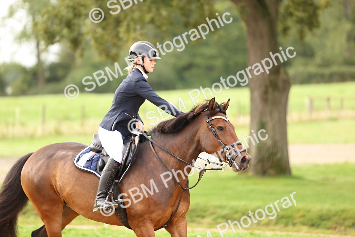 SBM_58438 - J41 - Grand Tour Horse & Pony 95cm