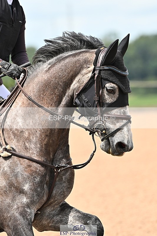 240726A-123904-00664 - Cls 2 Snr Newcomers