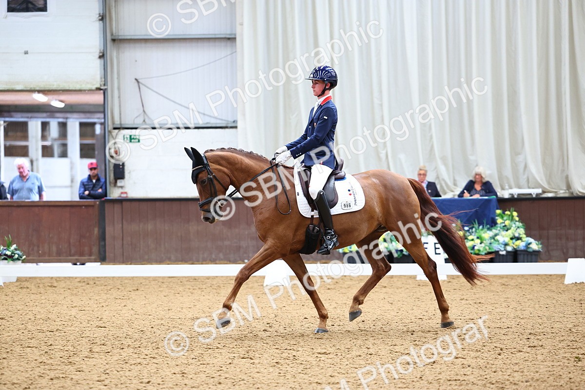 SBM_006045 - Class 5 - Novice 6 - 10.47-11.43