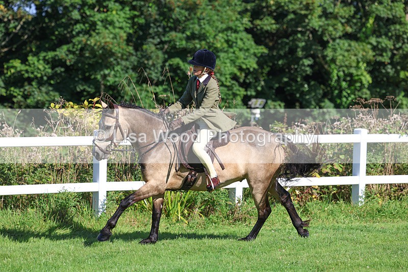 3E7A7863 - Class 2: Open Working Hunter pony