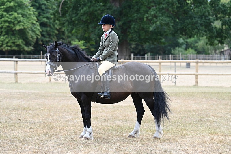 WJ7_0410 - Class 6 Ridden Mountain and Moorland