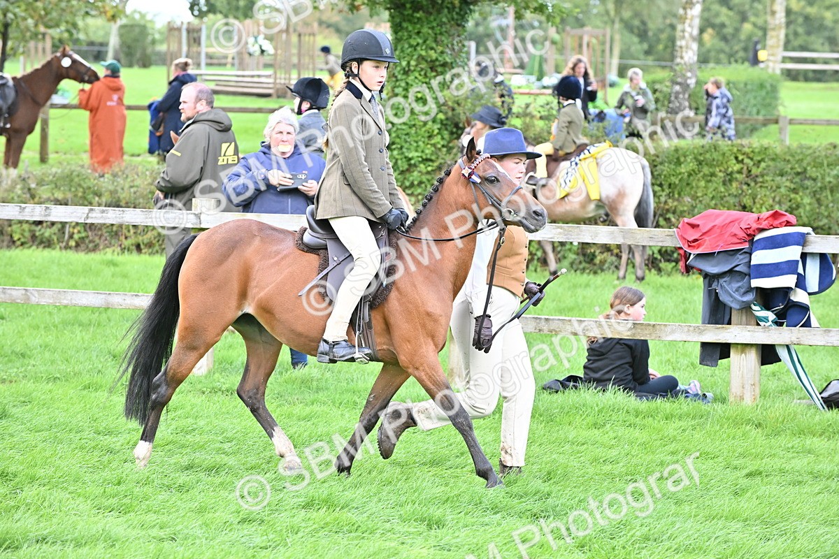 SBM_38323 - S19 - Lead Rein Show & Show Hunter Pony