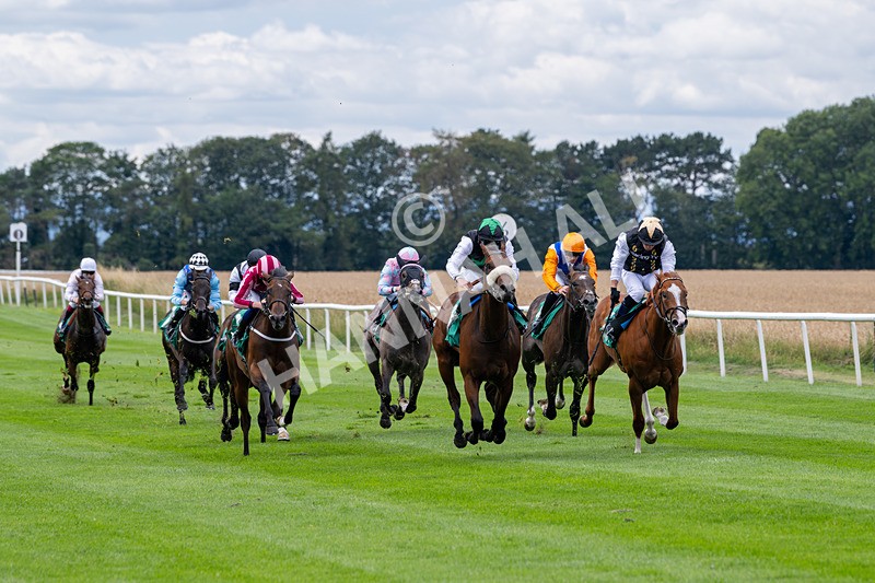 020825-Race 1-Rikki Tiki Tavi-2368 - Race 1