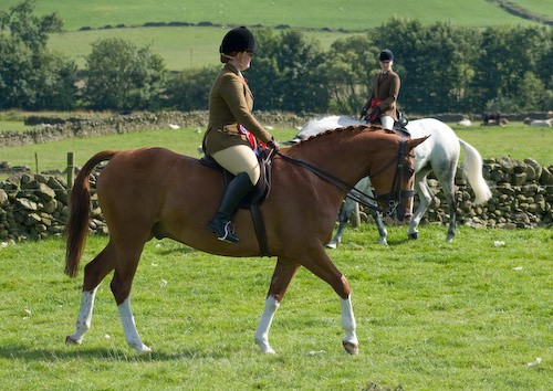 152 - Moniaive Horse Show 2008