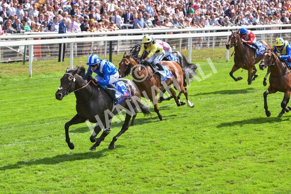 yr20082022r1-37 - Race 1 1.50pm Sky Bet & Symphony Group Strensall Stakes