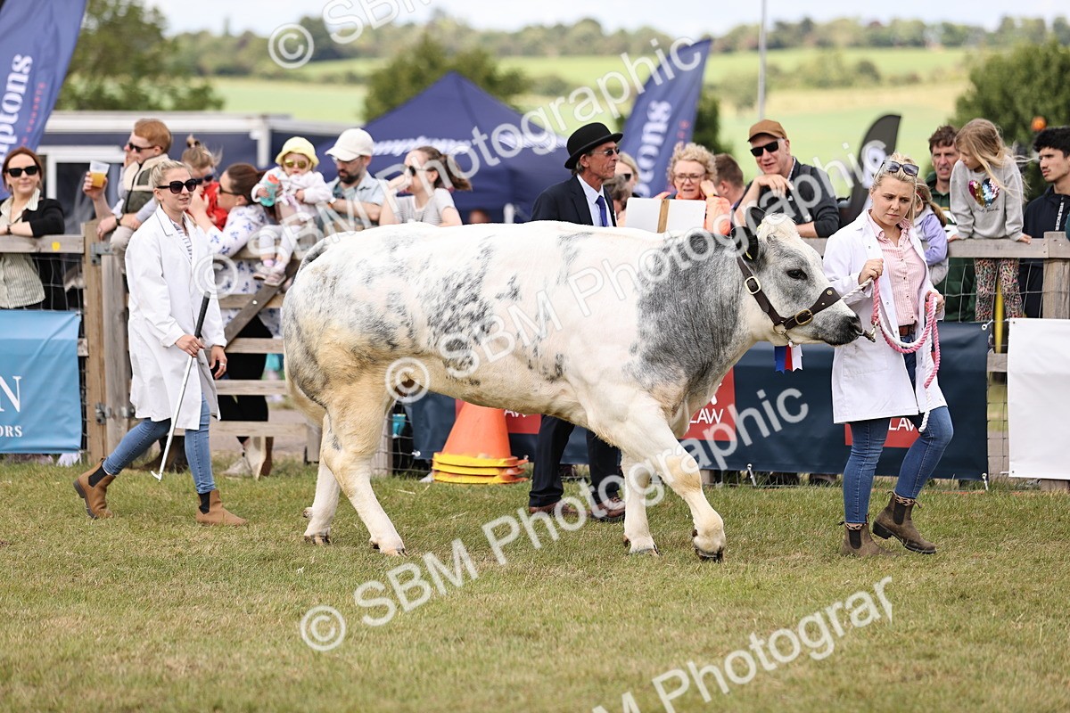 SBM_16884 - Grand Parade