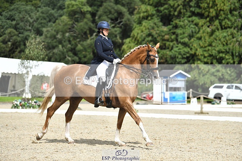 230812-144404-04780 - Cls 7 FEI PSG Bronze