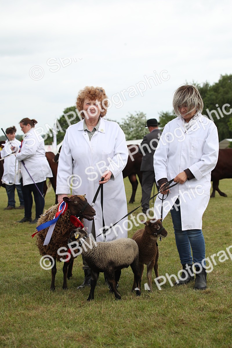 SBM_07878 - Grand Parade