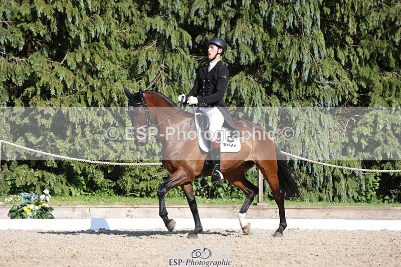 230526-171243-07923 - 176-TENZ-Will_Rawlin-WEDTrotUp+DR