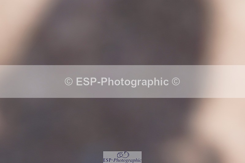 250510-121302-11242 - Cls 15 Prestige Big Star Quali  1st Jump Off