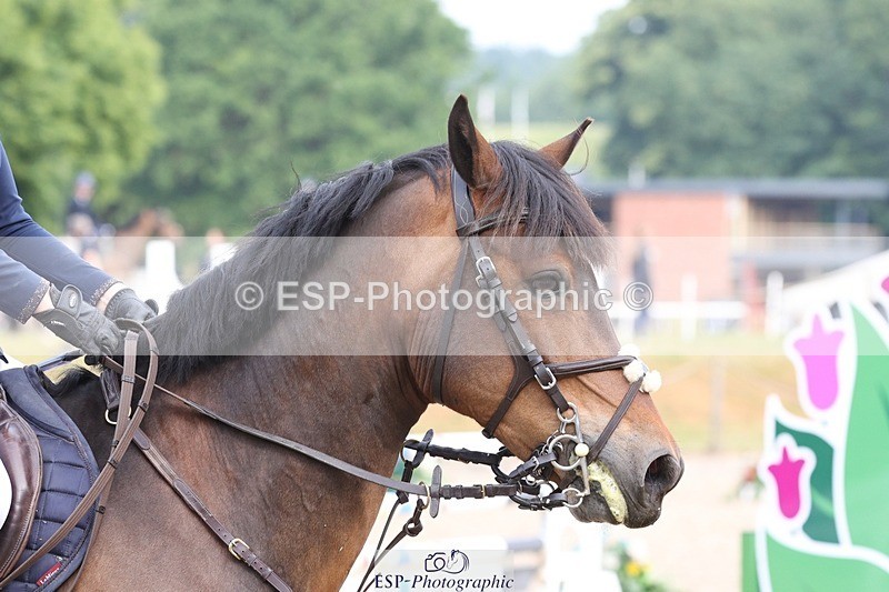 230617-085129-00414 - Cls 08a Pony 1.05