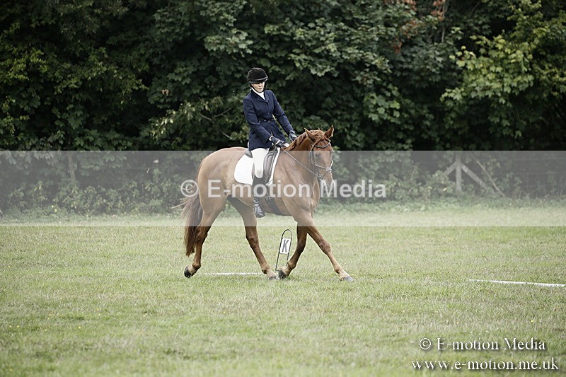 BVR090918 301 - BVRC Dressage and Show Jumping 09/09/18