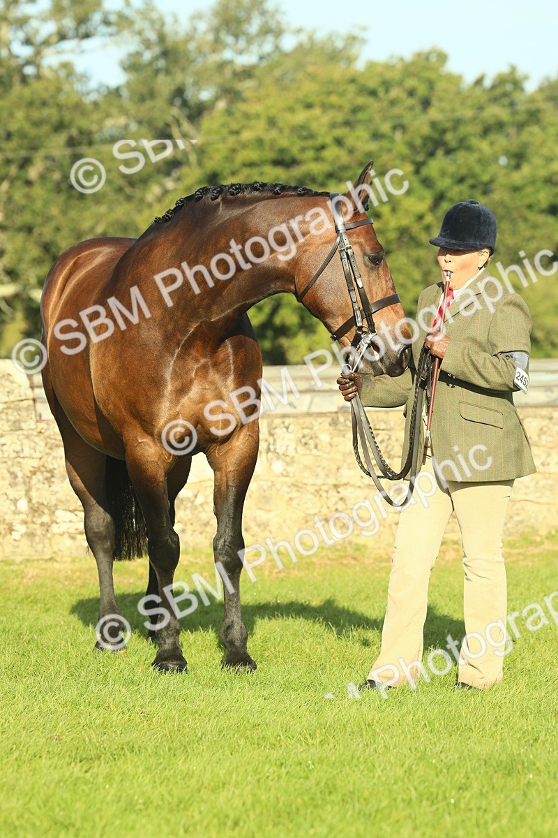 SBM_58595 - S37 - Starters In Hand Showing