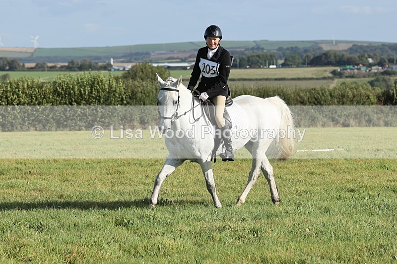 JPP_7883 - Class 2A: Trekenning Open: Dressage