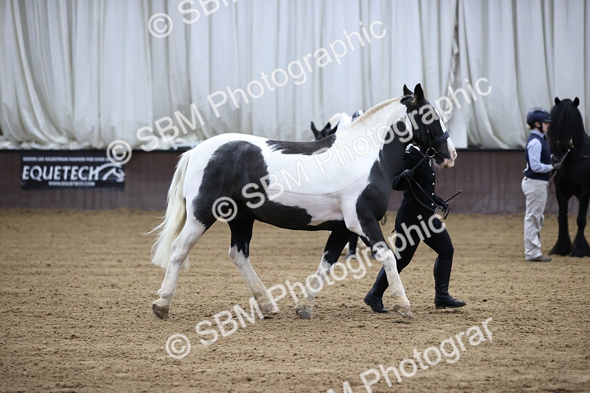SBM_5286 - Class 32 - In Hand Cob Type