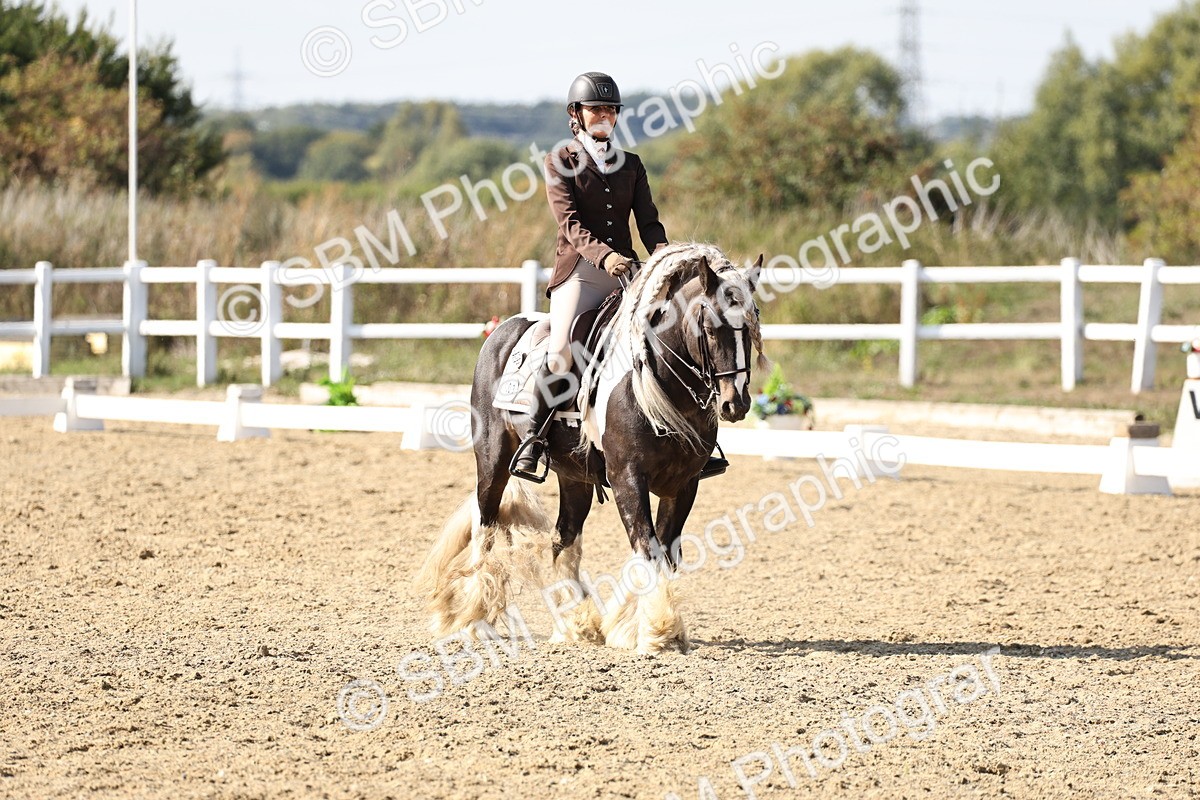 SBM_015270 - Class 9 - Advanced medium 3